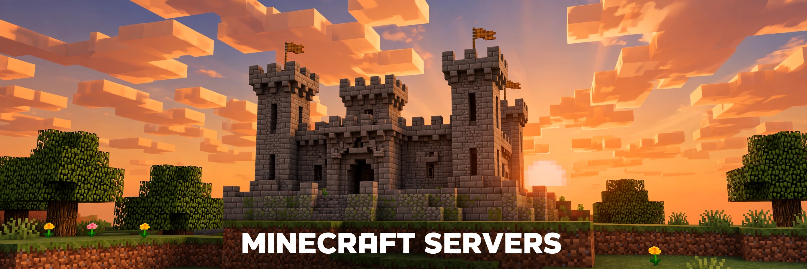 Minecraft Servers